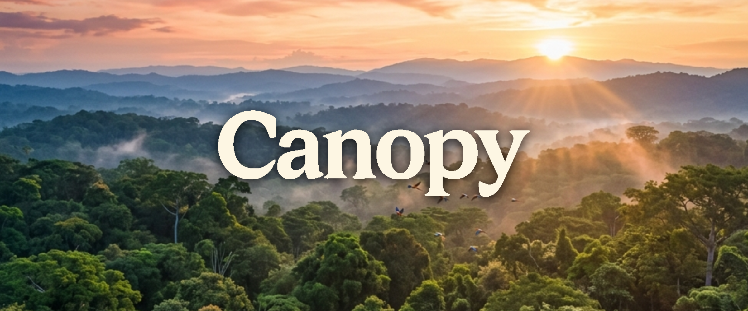 Canopy website logo