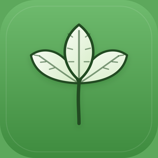 Cilantro